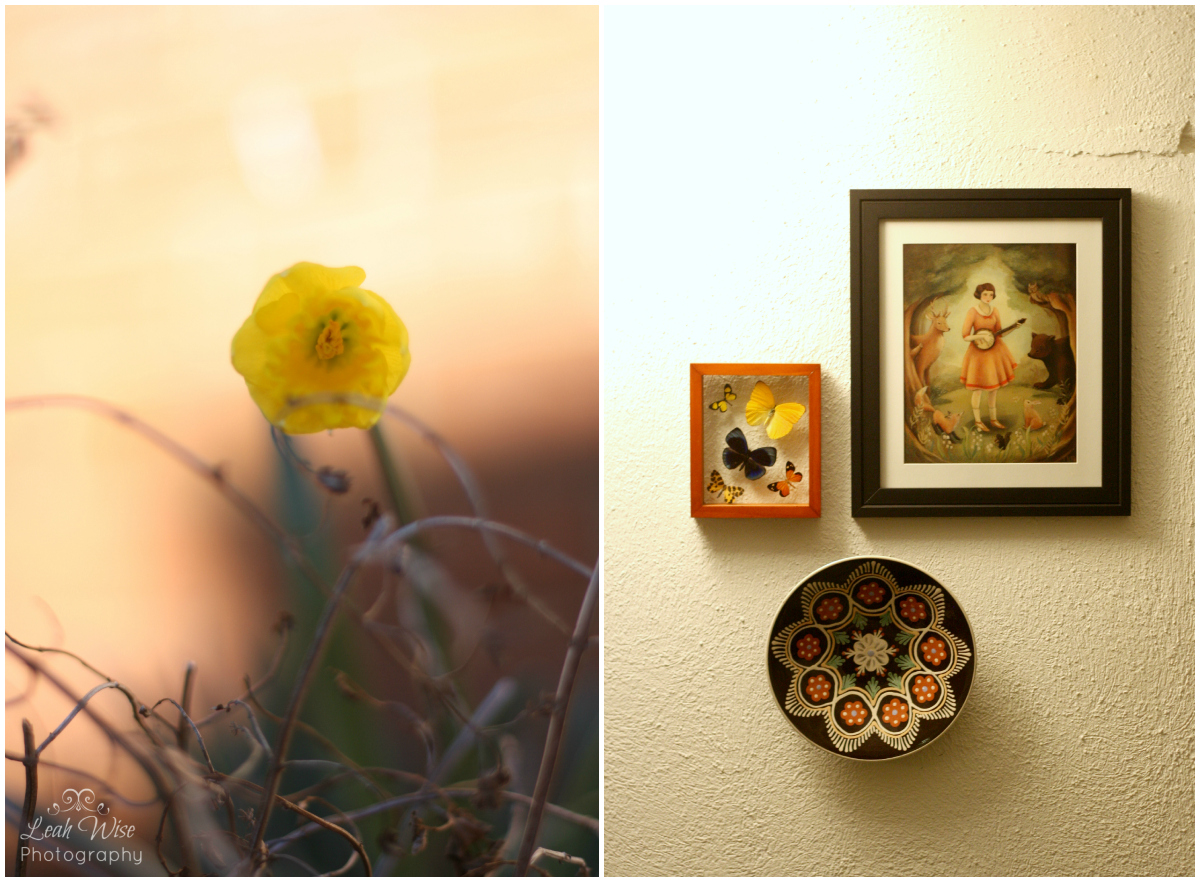 leahwise - watermark and wall art