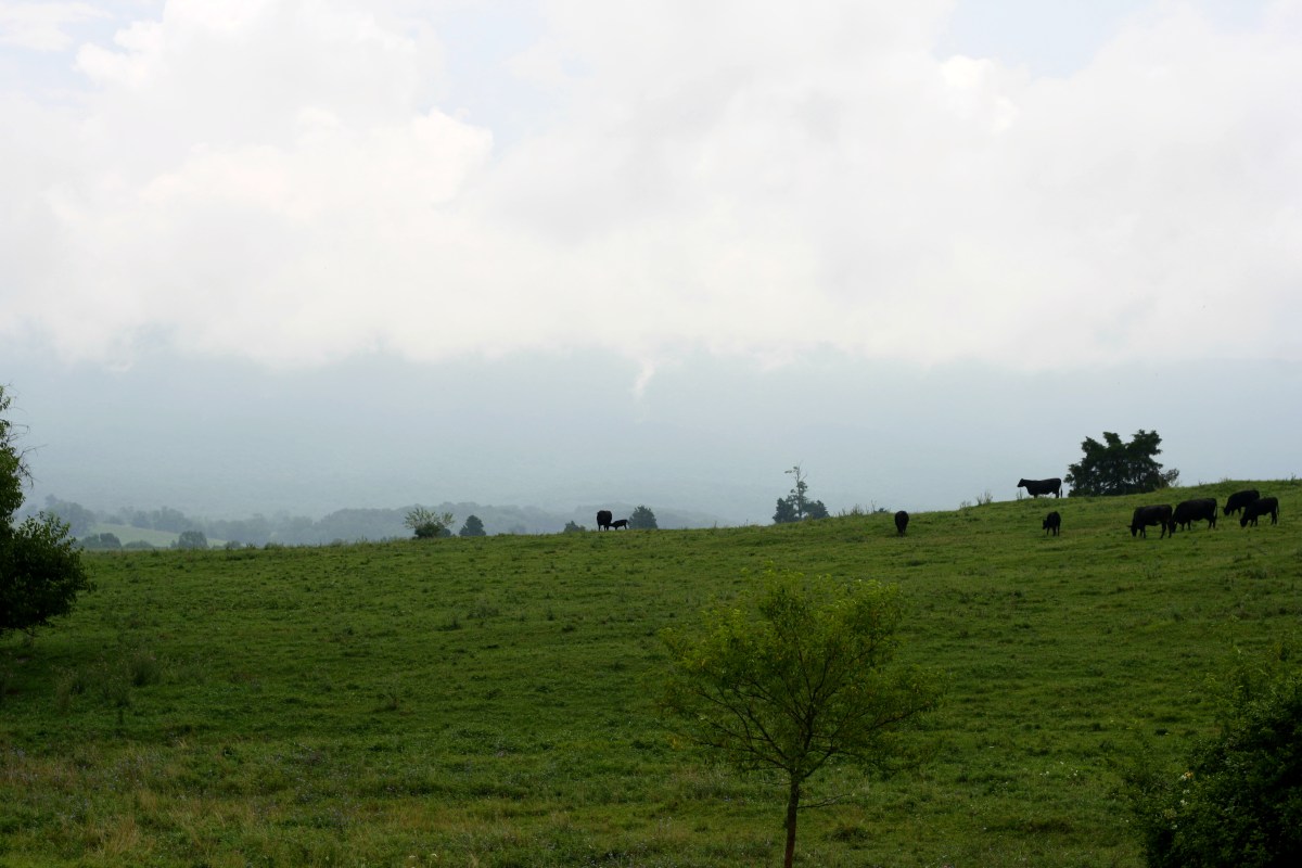 virginia countryside