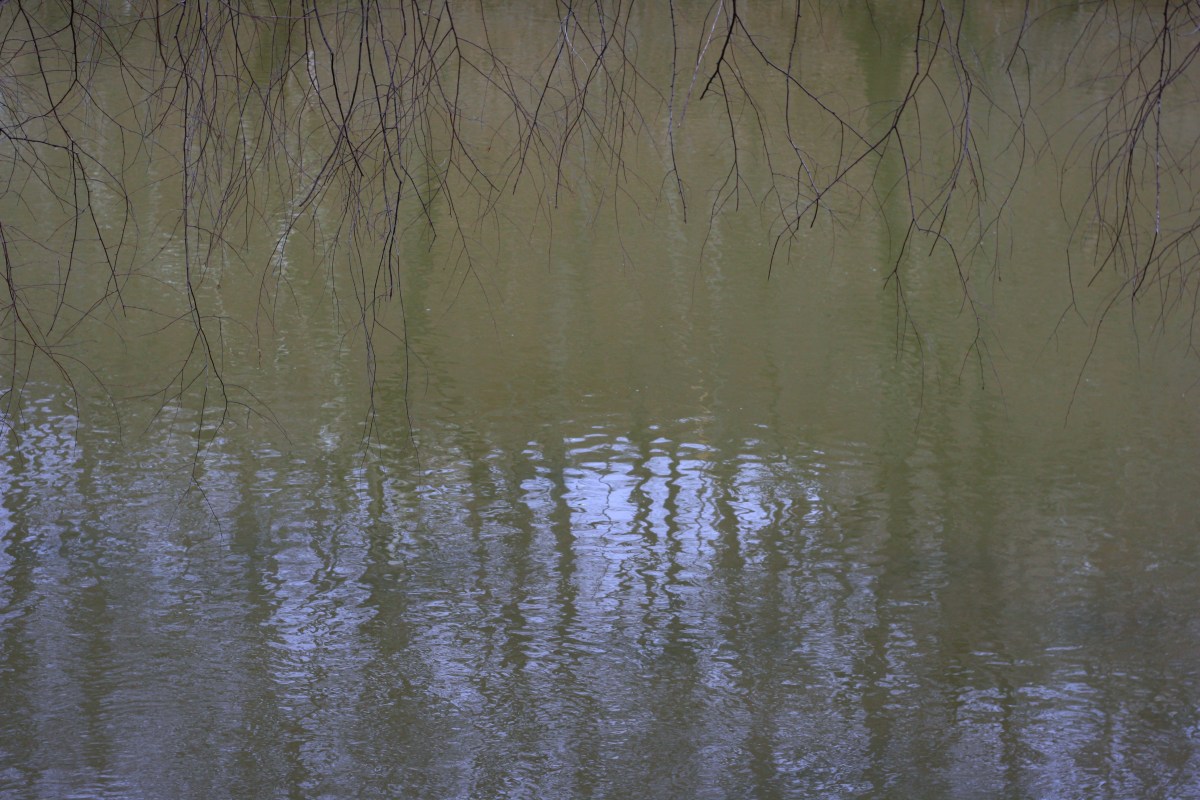reflections on water