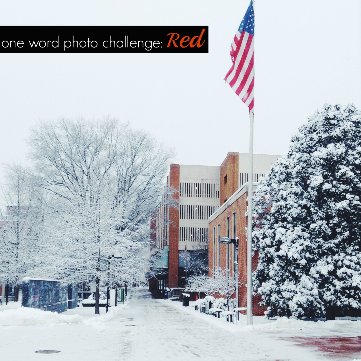 Processed with VSCOcam with f2 preset